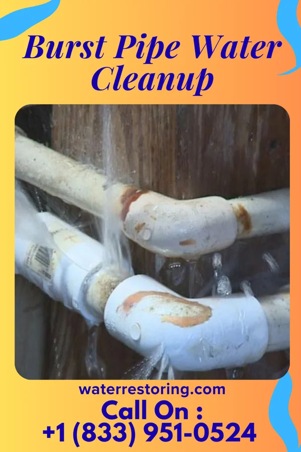 Burst Pipe Water Cleanup in Farmington, NC