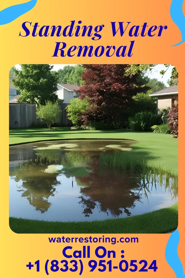 Standing Water Removal in Farmington, NC